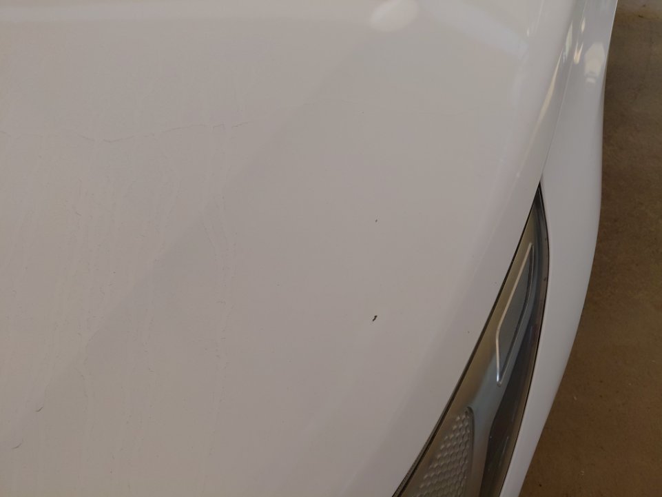 Hyundai Accent FLEET  2021 image