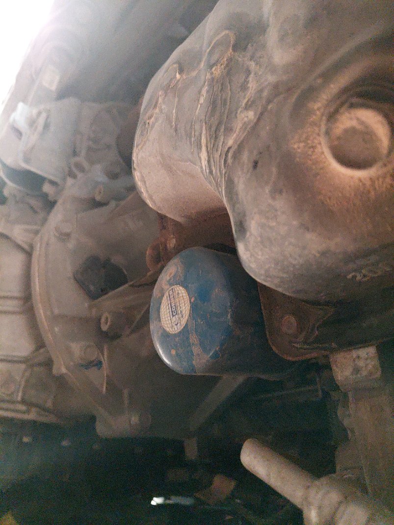 Hyundai Accent FLEET  2021 image