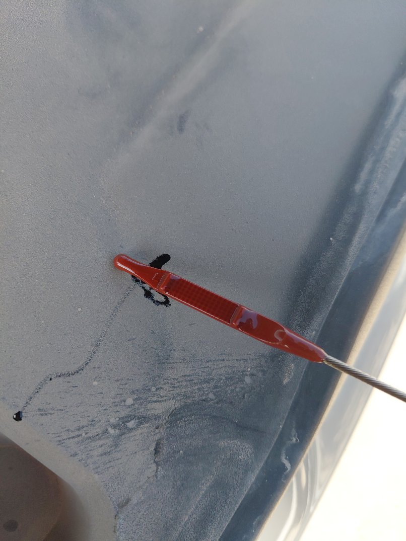 KIA Sportage EX Sports Utility  2023 image