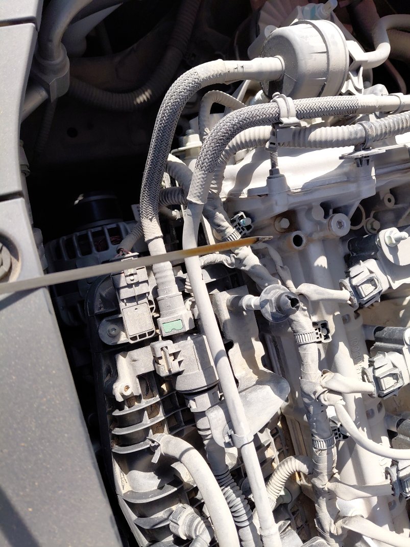 فاو بيستون B70 بريميم 2023 image