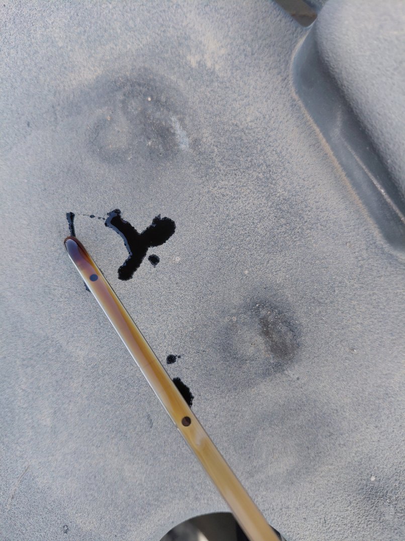 تويوتا يارس SD Y 2023 image