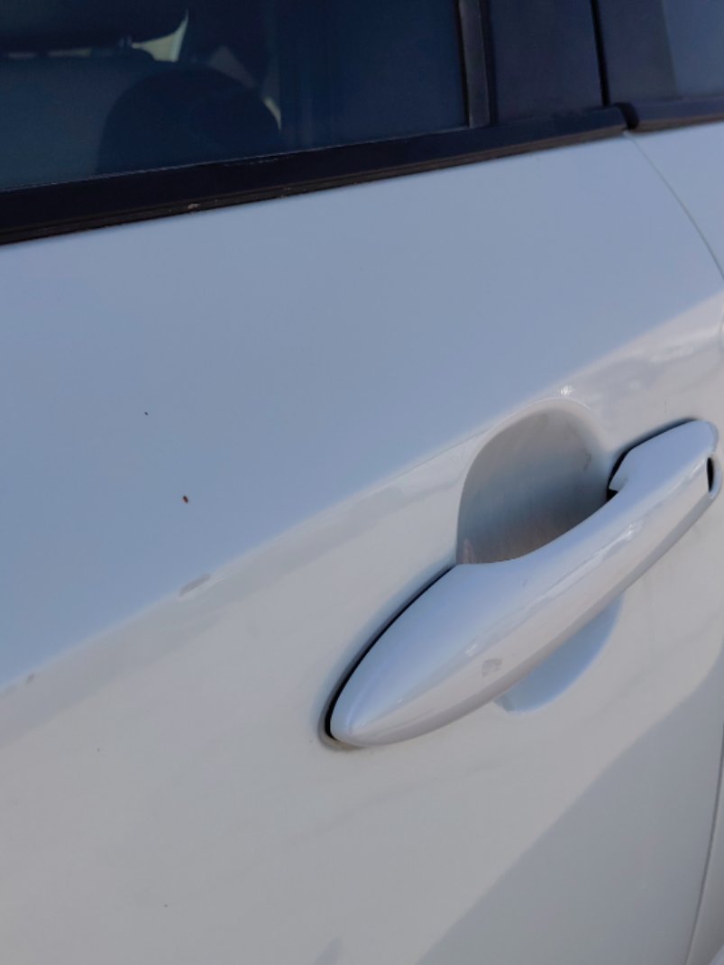 Toyota Corolla  XLI EXE  2023 image