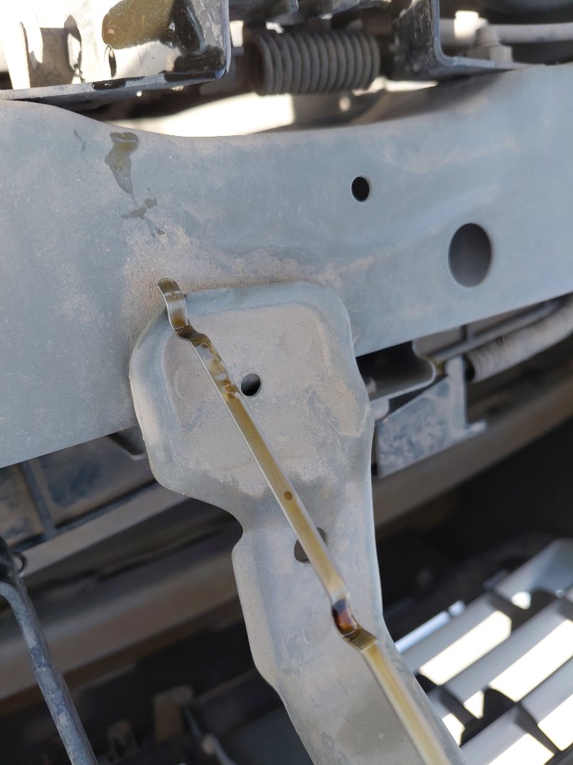 Nissan Sunny FLEET 2022 image