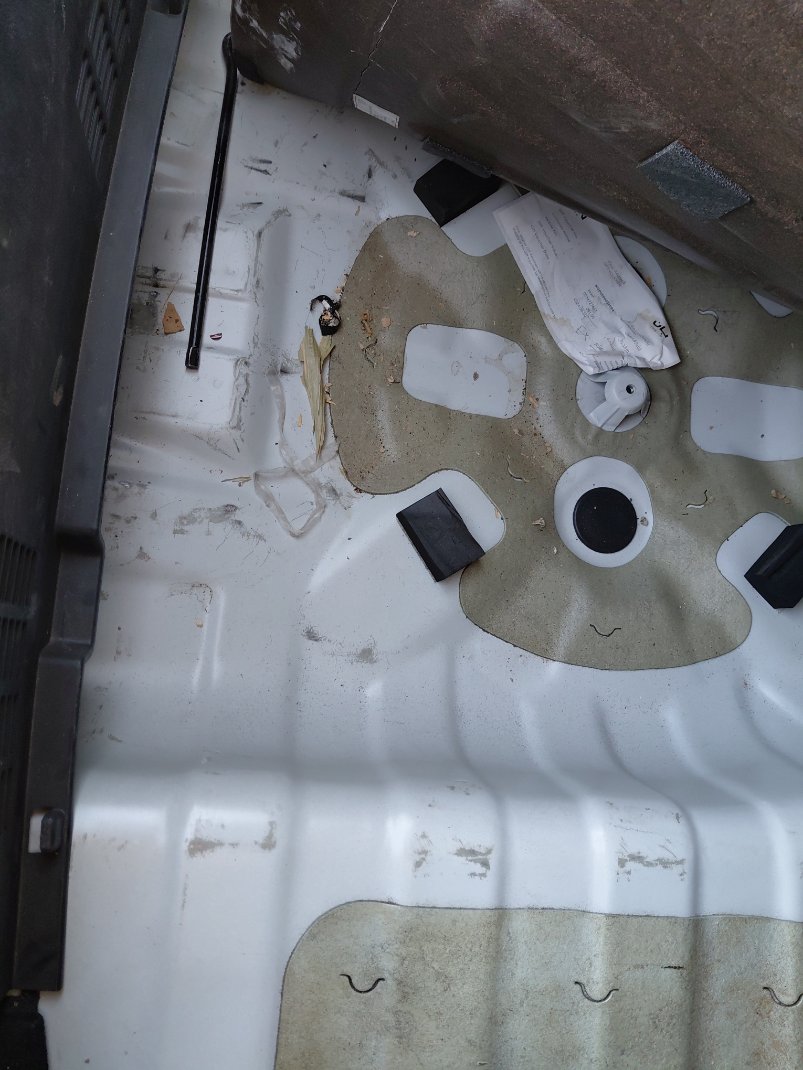 كيا بيجاس LX 2022 image