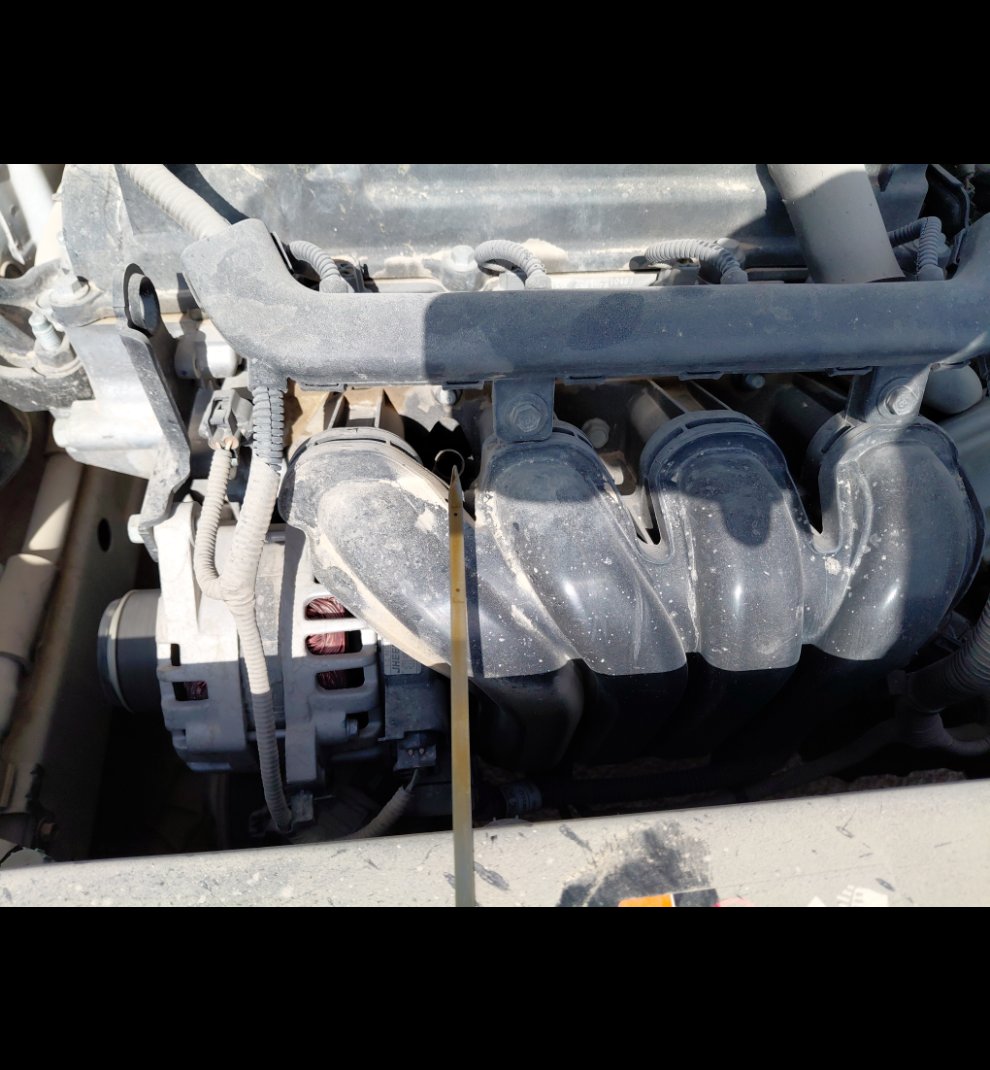 كيا بيجاس LX 2022 image