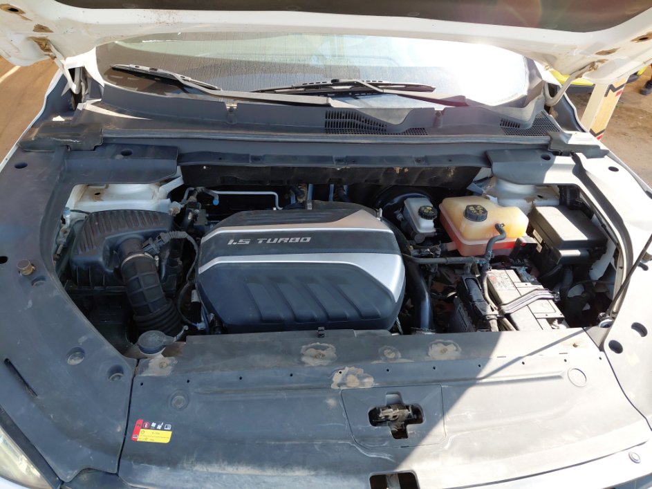 Maxus D60 LUX Sports  2023 image