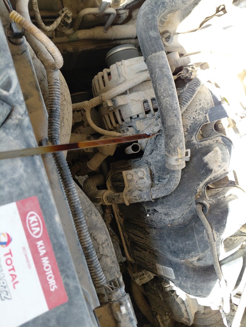 KIA Sportage EX 2020 image