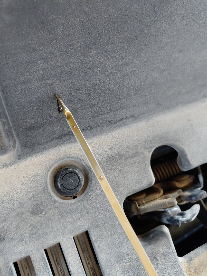 Toyota Camry LE HEV 2024 image