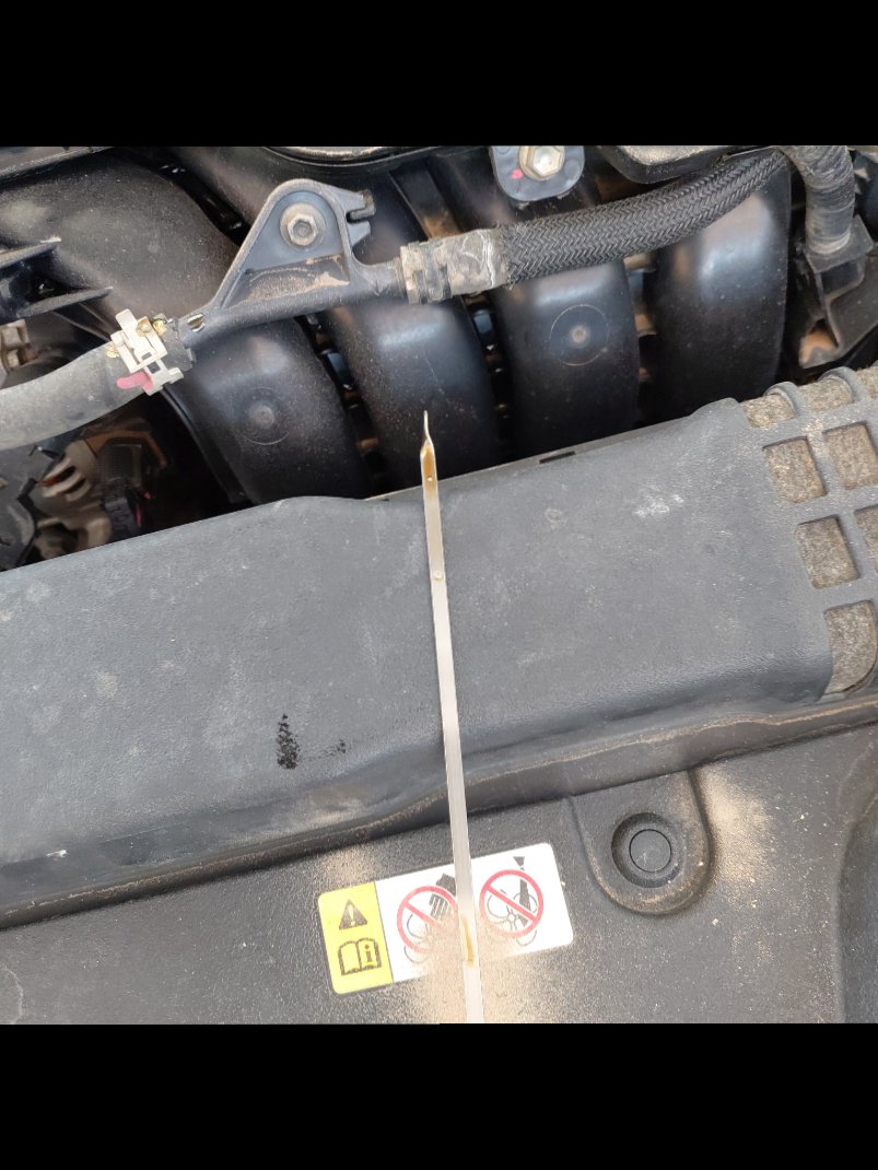 تويوتا كورولا  XLI EXE M/R  2022 image