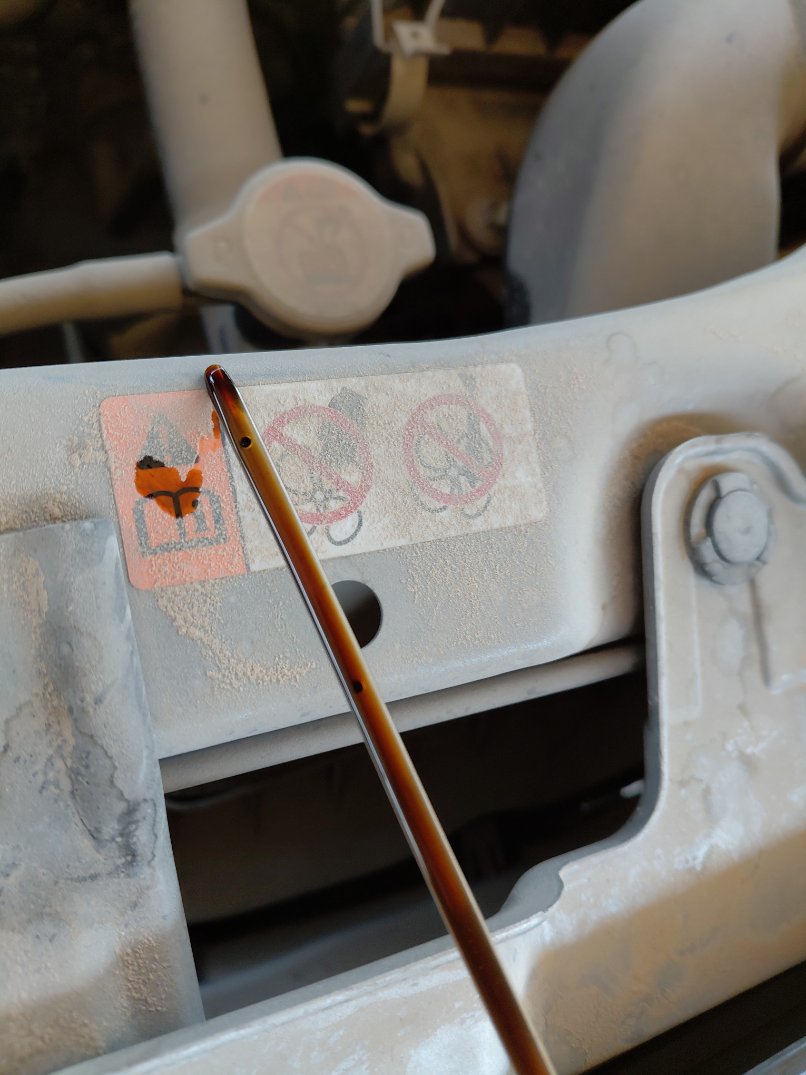 Toyota RAIZE XLE 2024 image