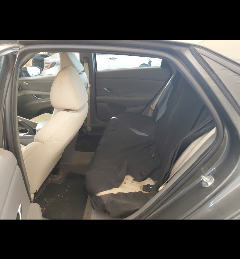 Hyundai Elantra FLEET 2023 image