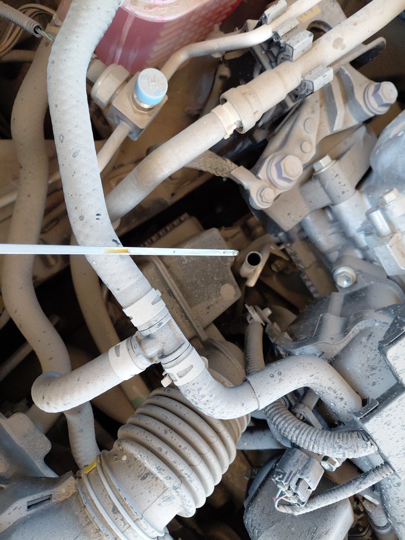 Toyota Corolla Cross LE HEV 2023 image