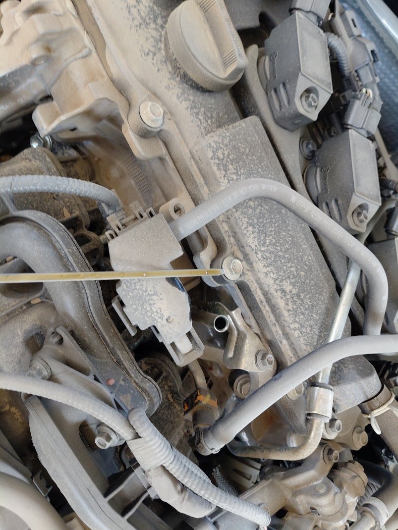 Toyota Corolla XLI 2025 image