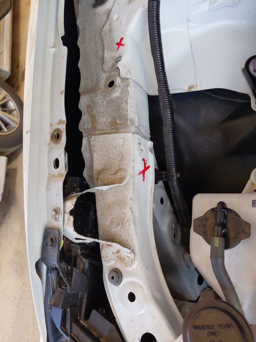 Toyota Camry LE HEV 2024 image