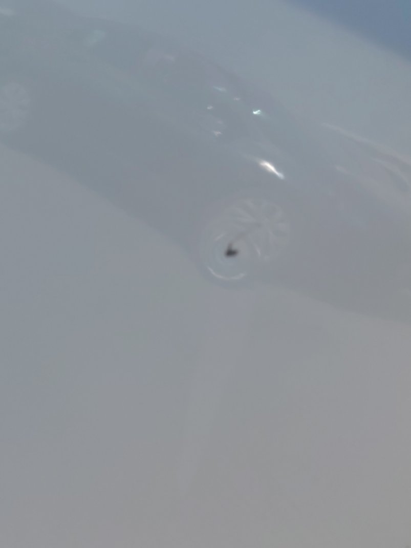 Toyota Corolla XLI 2025 image