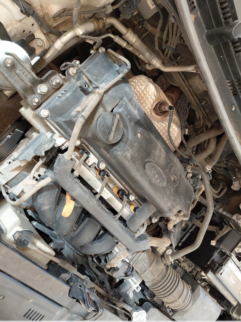 كيا ريو FLEET 2018 image