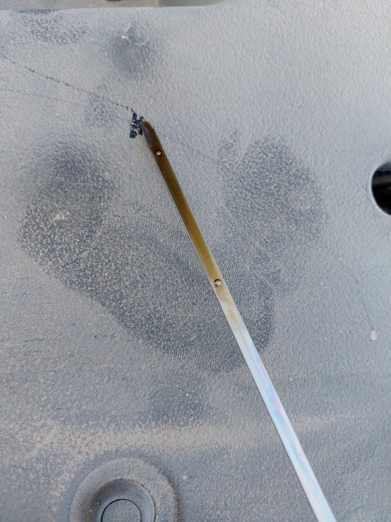 Toyota Yaris SD Y 2022 image