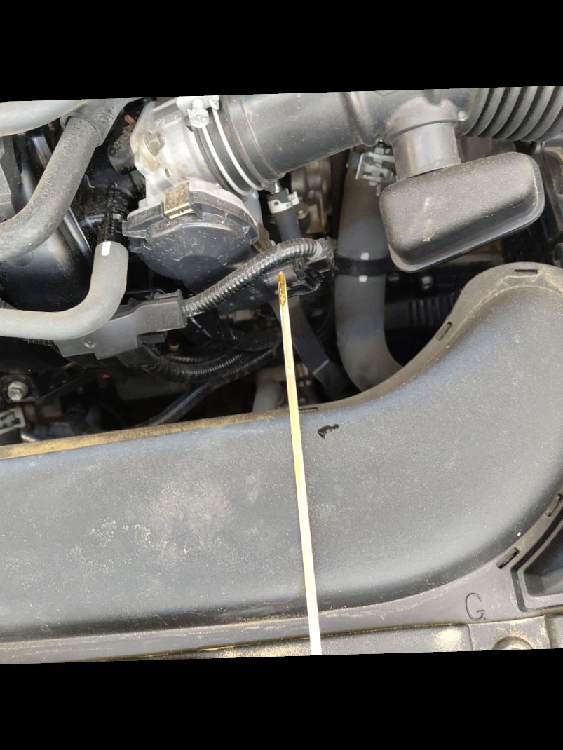 تويوتا كورولا XLI EXE 2024 image