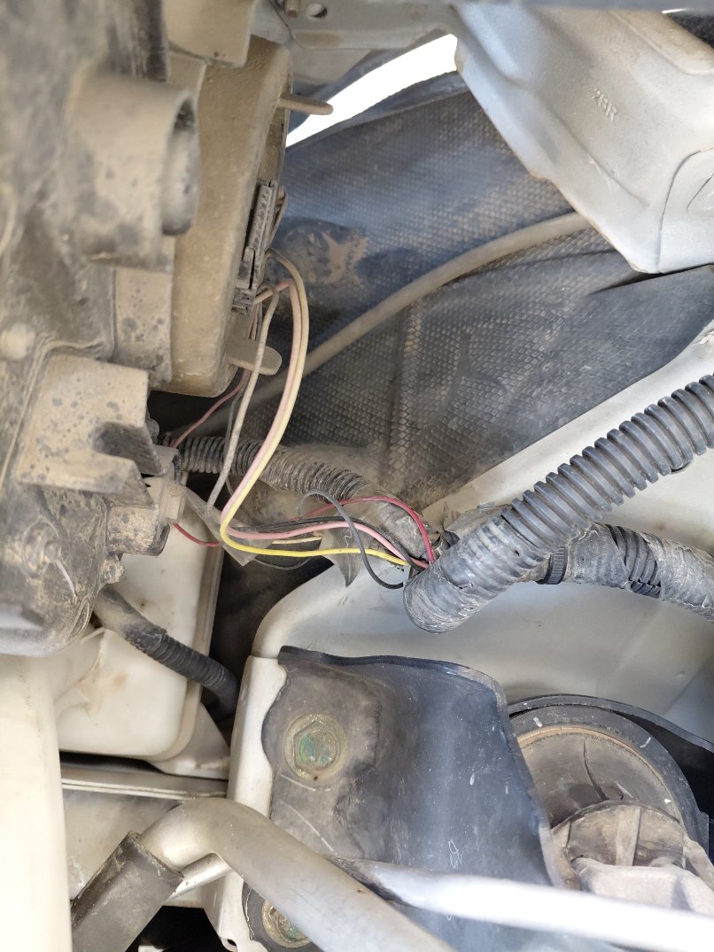 Nissan Sunny FLEET  2019 image