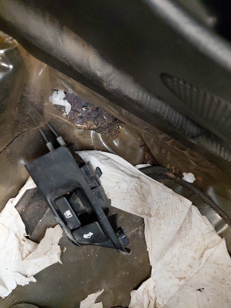 Toyota Corolla XLI EXECUTIVE M/R 2020 image