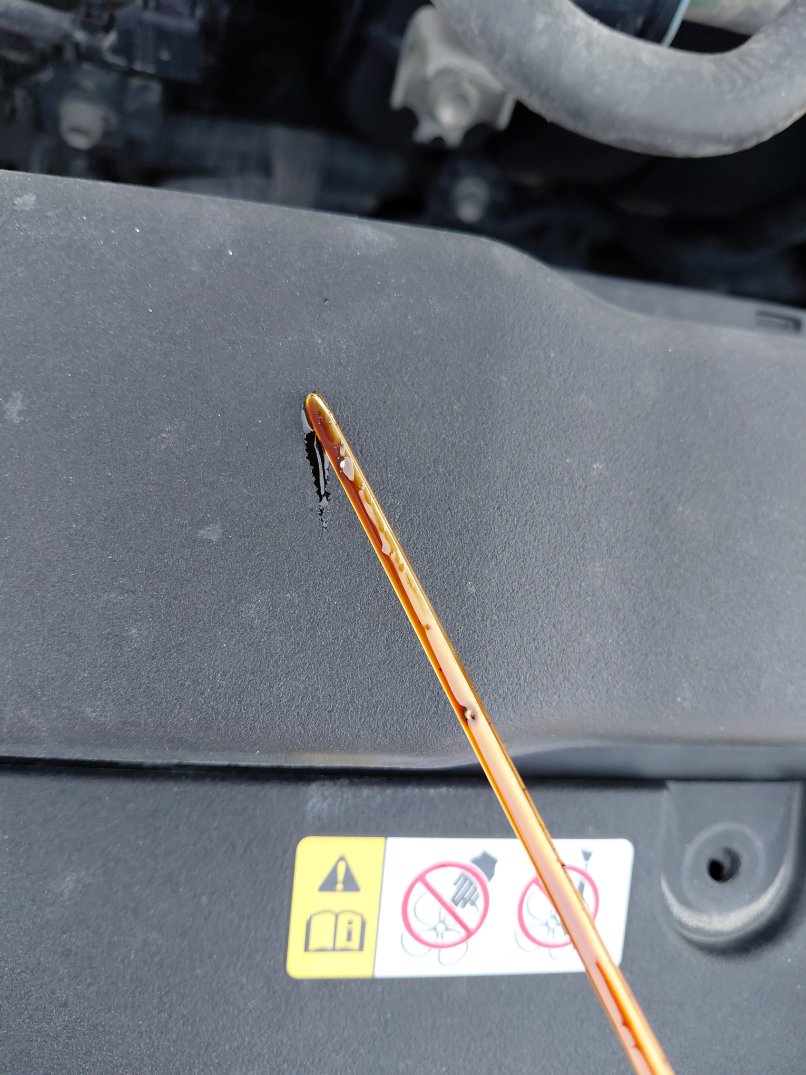 تويوتا كورولا XLI EXECUTIVE 2021 image