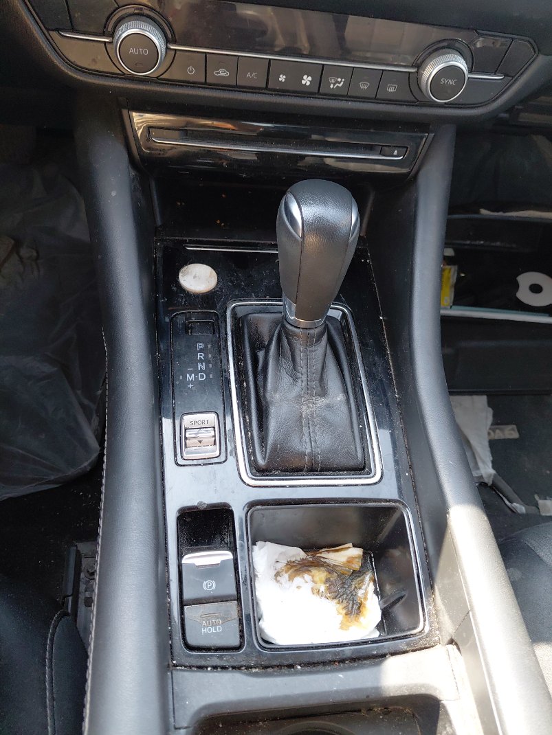 مازدا 6 ZOOM FLEET 2022 image