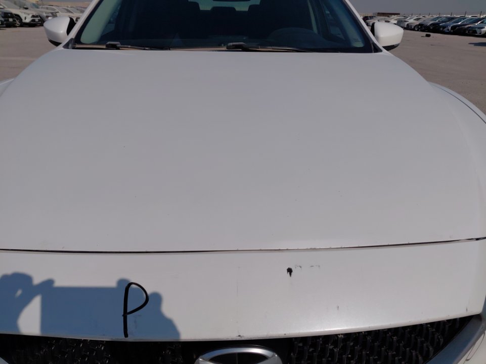 مازدا 6 ZOOM FLEET 2022 image