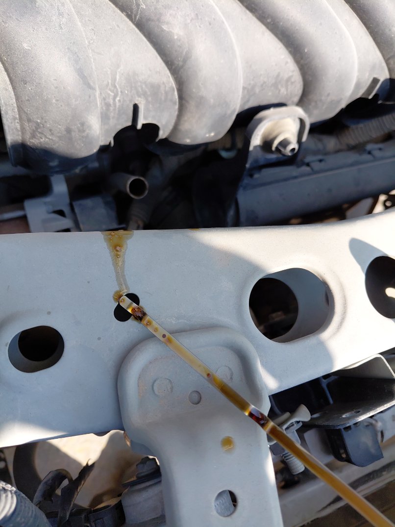 نيسان صني  2022 image