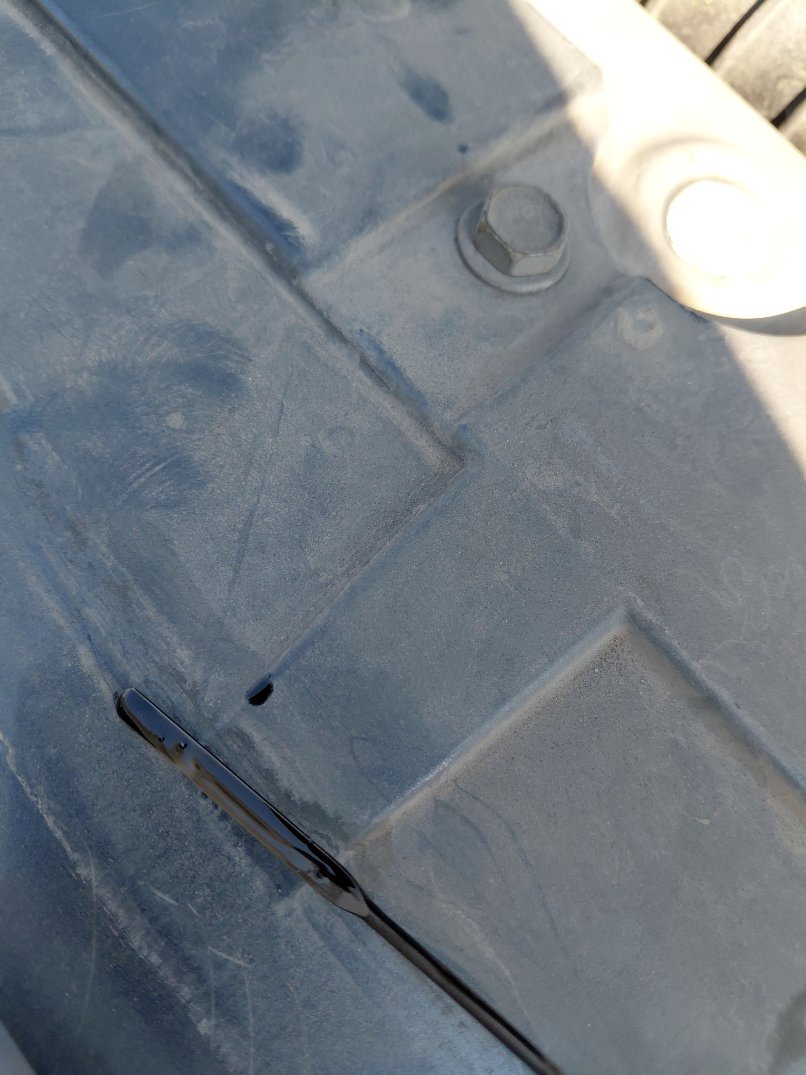 جريت وول وينجل 7  2022 image