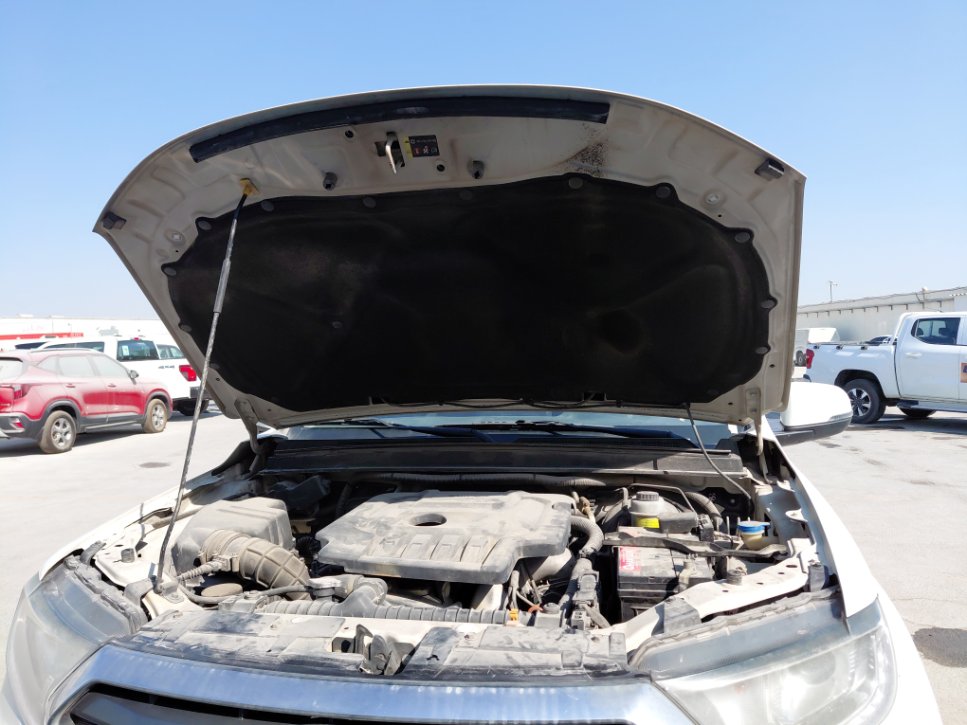 جريت وول وينجل 7  2022 image