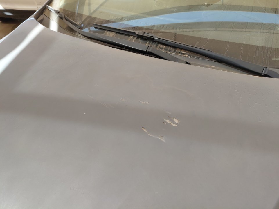 Toyota Corolla XLI EXECUTIVE 2020 image