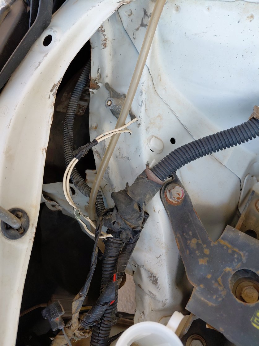 Toyota Yaris Y 2019 image