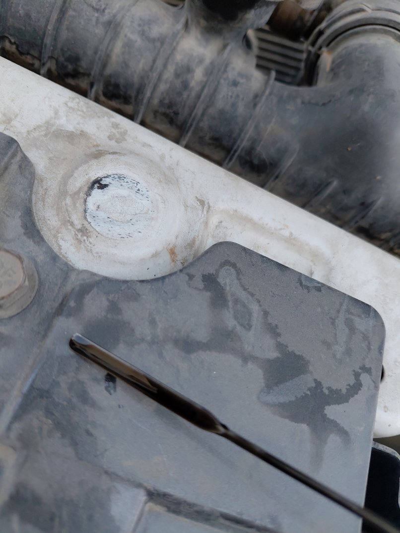 جريت وول وينجل 7 4x4 2022 image