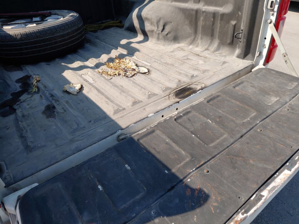 جريت وول وينجل 7 4x4 2022 image