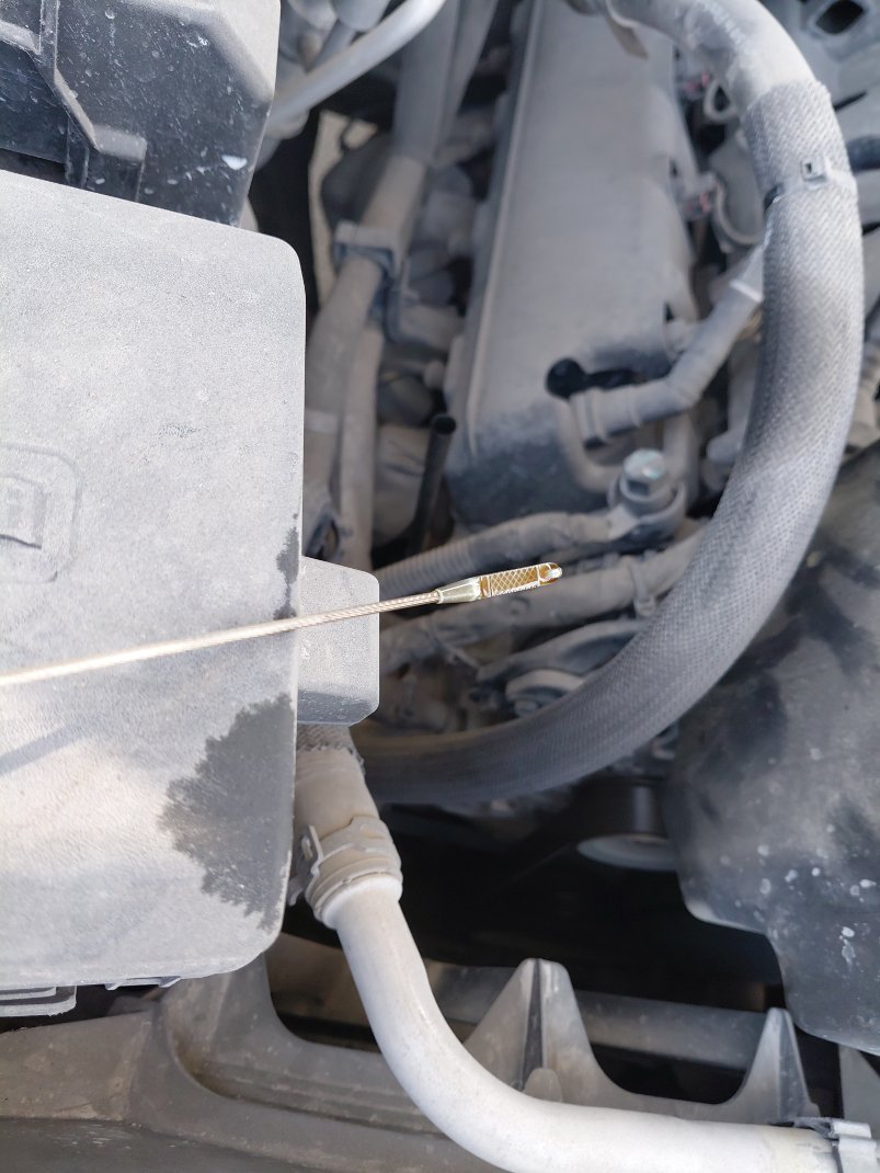 جي إم سي سييرا 4x4 2020 image