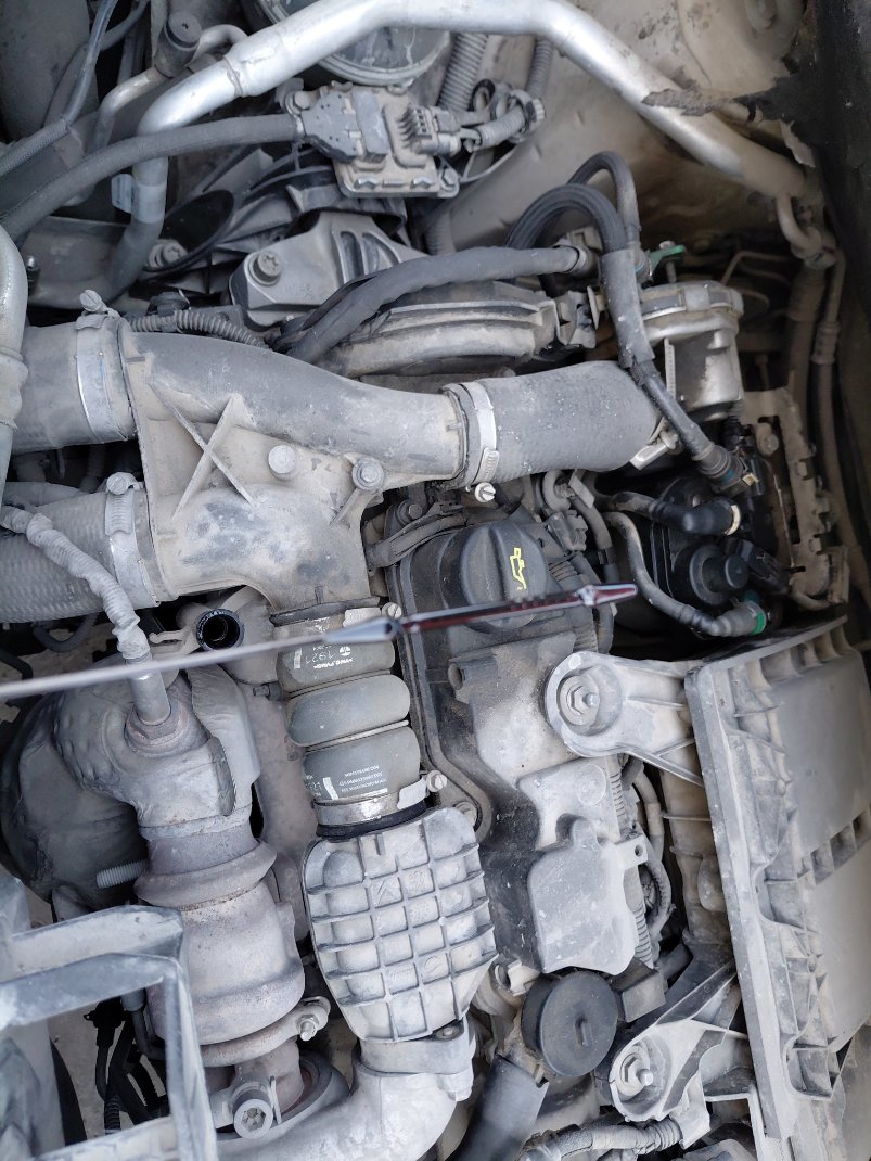 بيجو بارتنر  2022 image