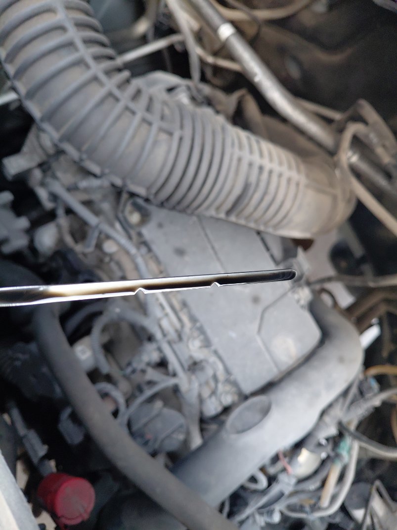 Renault Master  2023 image