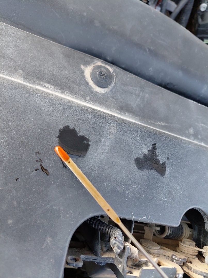 Haval H6  2022 image