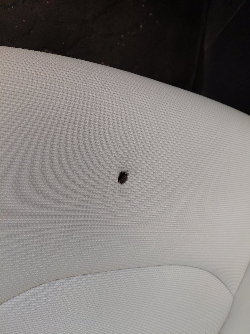 KIA Cerato L 2023 image