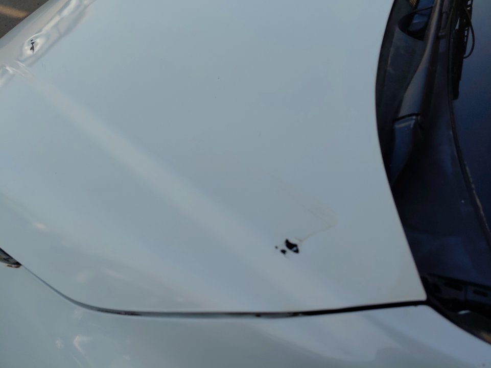 Toyota Corolla XLI 2020 image