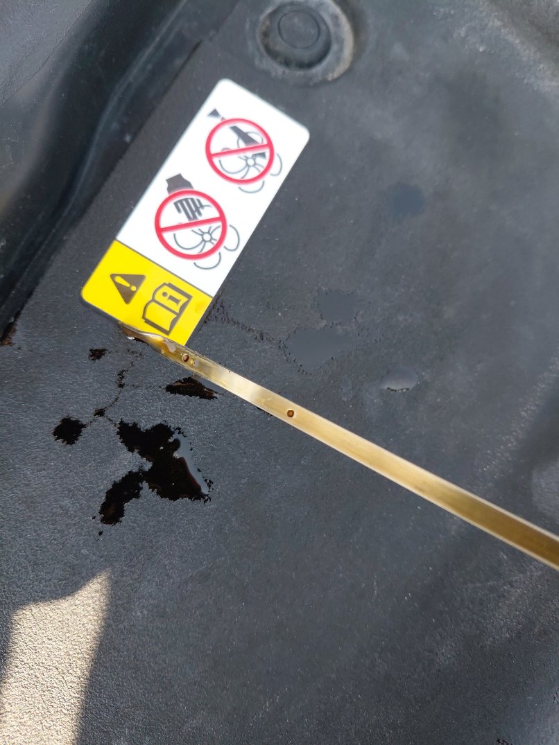 تويوتا كورولا XLI 2023 image