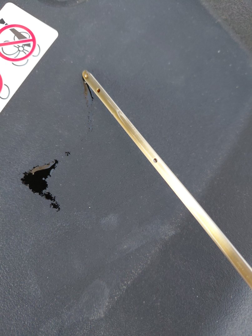 Toyota Corolla XLI EXE 2023 image