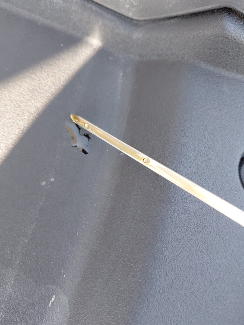 تويوتا كورولا XLI 2024 image