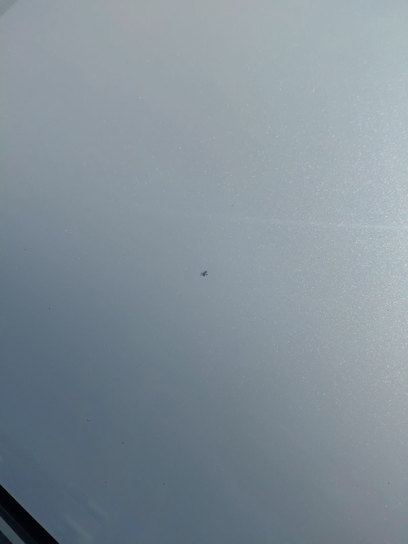 تويوتا رايز LIMITED 2023 image