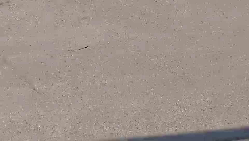 تويوتا هايس فان  2016 video