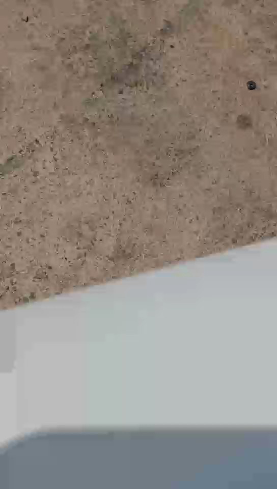 تويوتا كورولا  2015 video