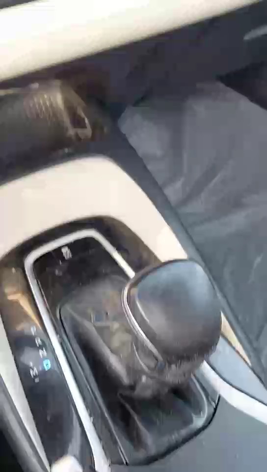 Toyota Corolla GLI M/R 2021 video