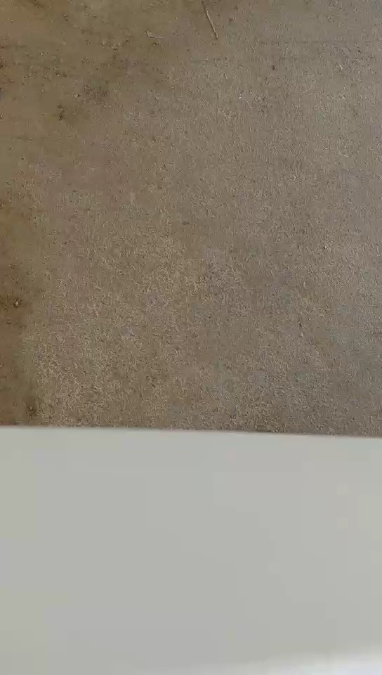 تويوتا كورولا  2018 video