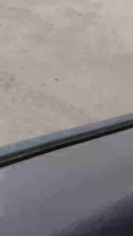 تويوتا يارس  2013 video