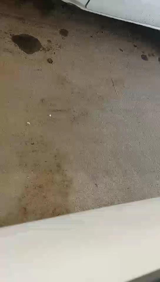 Daihatsu Terios  2010 video